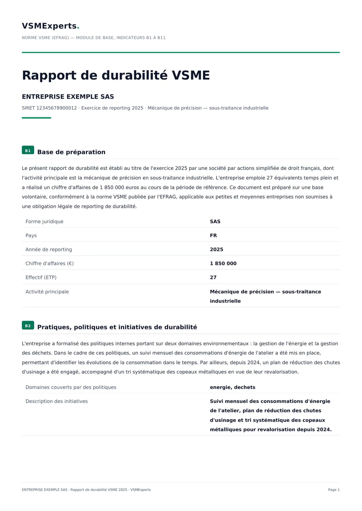 Exemple de rapport VSME, page 1 : modules B1 et B2
