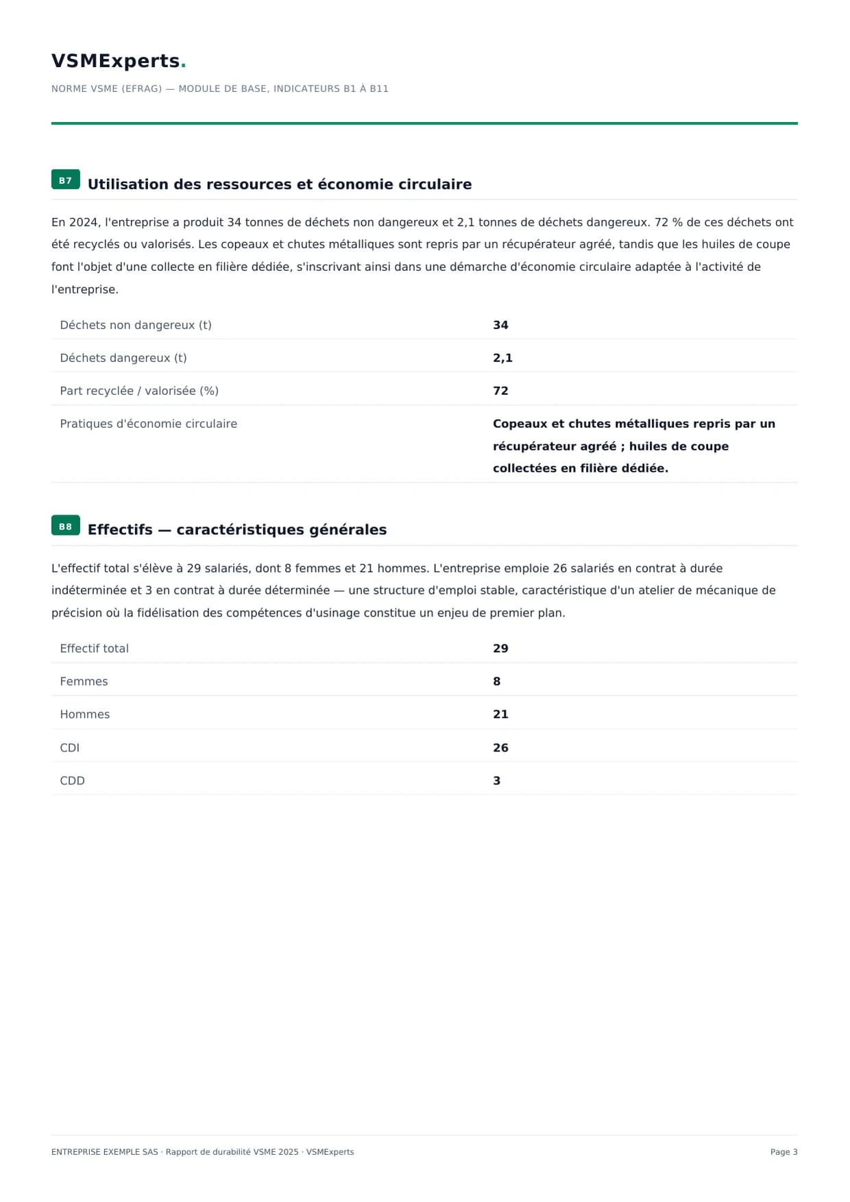 Exemple de rapport VSME, page 3 : modules B7 et B8